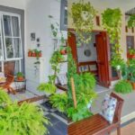 Cara Jualan Tanaman Hias Outdoor untuk Dekorasi Rumah