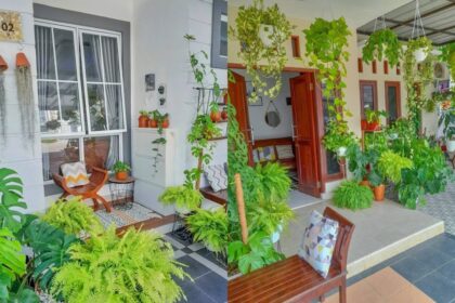 Cara Jualan Tanaman Hias Outdoor untuk Dekorasi Rumah