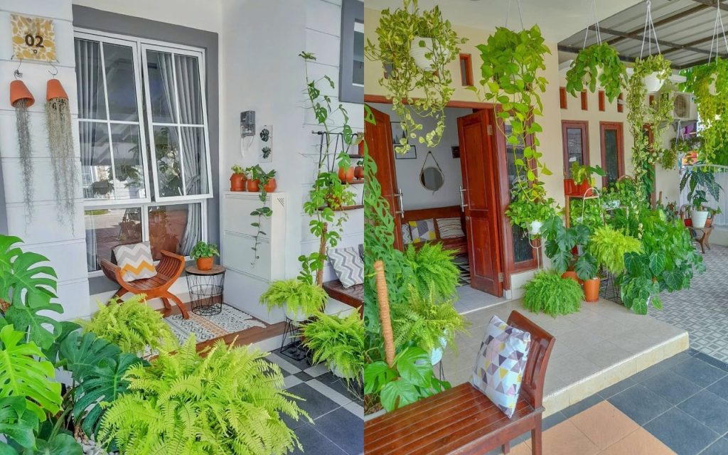 Cara Jualan Tanaman Hias Outdoor untuk Dekorasi Rumah
