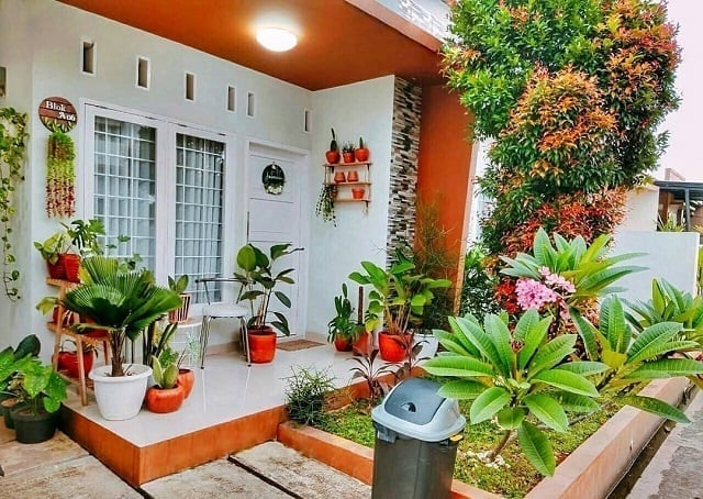 Cara Jualan Tanaman Hias Outdoor untuk Dekorasi Rumah