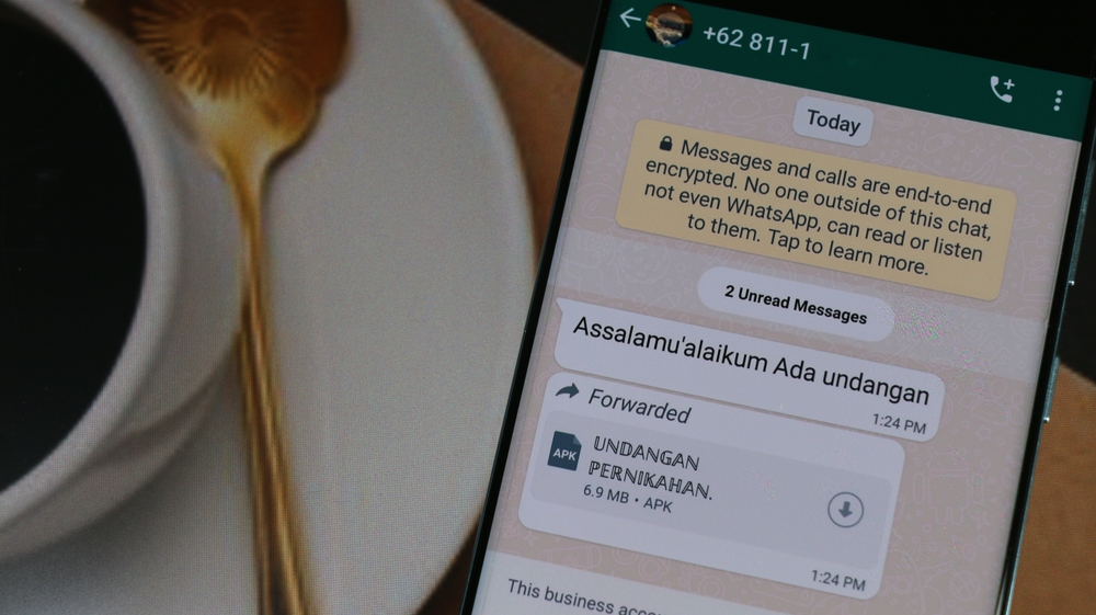 Tips Menghindari Penipuan Phising Link di WhatsApp