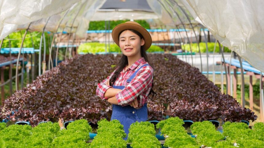 Peluang Usaha Pertanian yang Menjanjikan di Era Modern