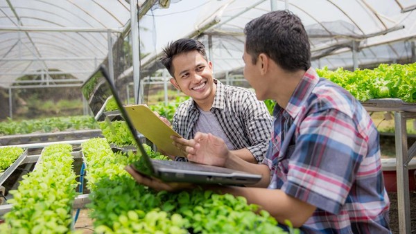 Peluang Usaha Pertanian yang Menjanjikan di Era Modern