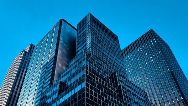 Struktur Organisasi Perusahaan PT